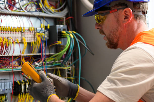 Best Electric Panel Repair  in Lakeview, OH